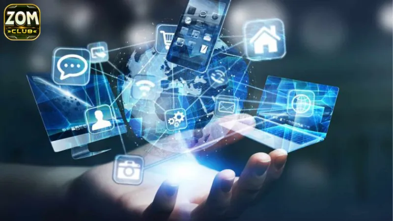 Thời gian lý tưởng để tiến hành Zomclub bảo trì