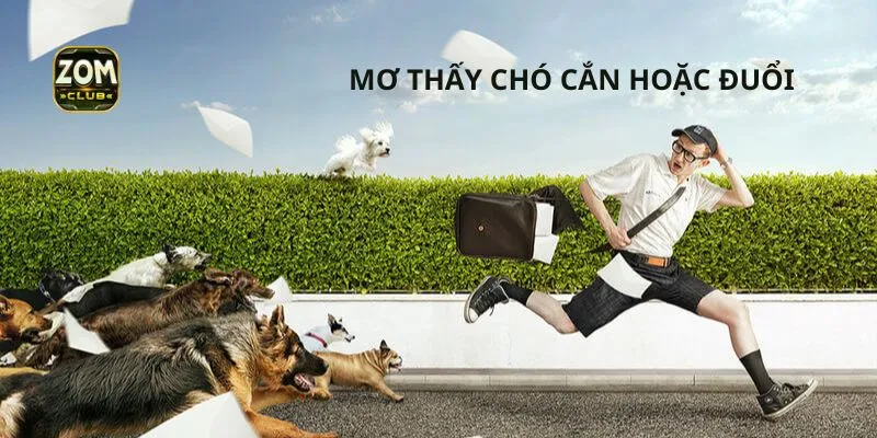 Trường hợp bị chó cắn và đuổi thì giải mã sổ mơ như sau